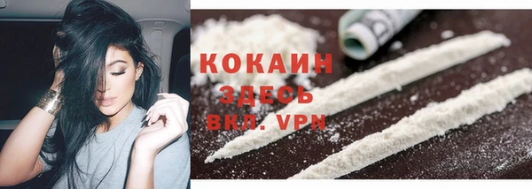 стаф Баксан