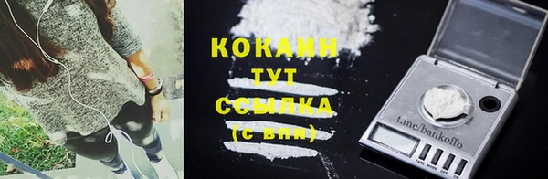 стаф Баксан