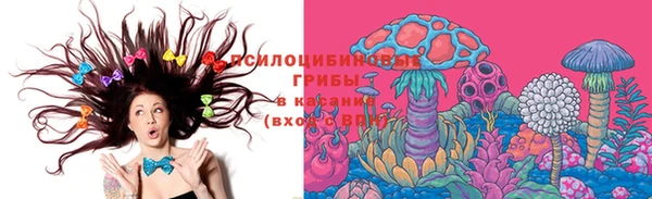 стаф Баксан